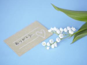 美しいミニ胡蝶蘭を購入してみよう